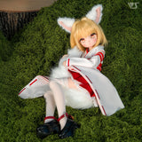 White Fox Ears & Tail
