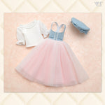 Denim and Tulle Pretty Dress
