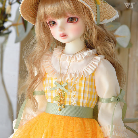 Mimosa Dress Set / Mini