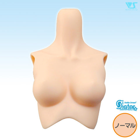 DDS-B-01 / M Bust / Flesh