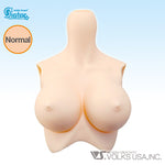 DDS-B-02 / L Bust / Normal